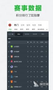 中国运动员在世界杯赛场的精彩表现